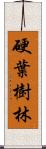 硬葉樹林 Scroll