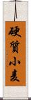 硬質小麦 Scroll