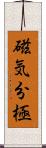 磁気分極 Scroll