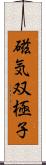 磁気双極子 Scroll