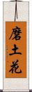 磨土花 Scroll