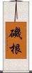 磯根 Scroll