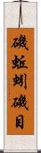 磯蚯蚓 Scroll