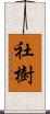 社樹 Scroll