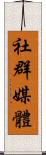 社群媒體 Scroll