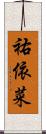 祐依菜 Scroll