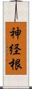 神経根 Scroll