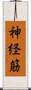神経筋 Scroll