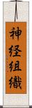 神経組織 Scroll