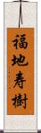 福地寿樹 Scroll