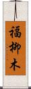 福柳木 Scroll