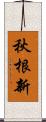 秋根新 Scroll