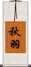 秋羽 Scroll