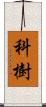 科樹 Scroll