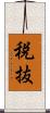 税抜 Scroll