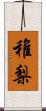 稚梨 Scroll