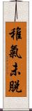稚氣未脫 Scroll