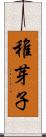稚芽子 Scroll