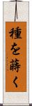 種を蒔く Scroll