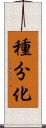 種分化 Scroll