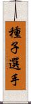 種子選手 Scroll