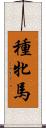 種牝馬 Scroll