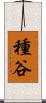 種谷 Scroll