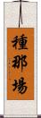 種那場 Scroll