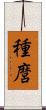 種麿 Scroll