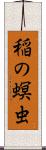 稲の螟虫 Scroll