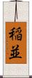 稲並 Scroll