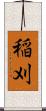 稲刈 Scroll