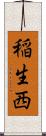 稲生西 Scroll