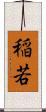 稲若 Scroll