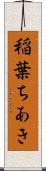 稲葉ちあき Scroll