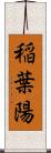 稲葉陽 Scroll