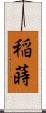 稲蒔 Scroll