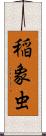稲象虫 Scroll