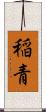 稲青 Scroll