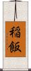 稲飯 Scroll