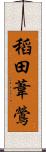 稻田葦鶯 Scroll