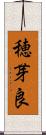 穂芽良 Scroll
