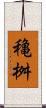 穐桝 Scroll