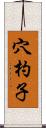 穴杓子 Scroll