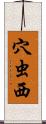 穴虫西 Scroll