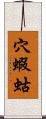 穴蝦蛄 Scroll