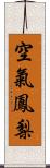 空氣鳳梨 Scroll