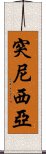 突尼西亞 Scroll