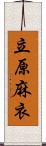 立原麻衣 Scroll