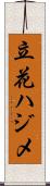 立花ハジメ Scroll